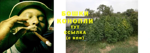 ПСИЛОЦИБИНОВЫЕ ГРИБЫ Балахна