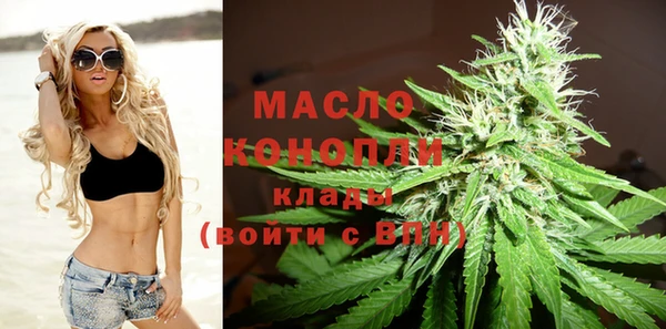 молекула духа Михайлов