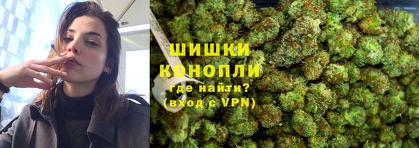 молекула духа Михайлов