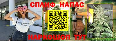 ешки Новодвинск