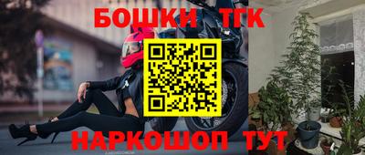 ешки Новодвинск