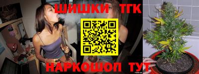 ешки Новодвинск