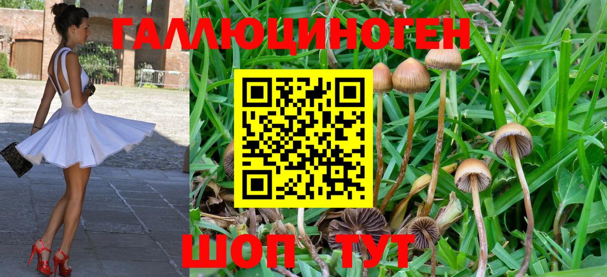 Псилоцибиновые грибы мухоморы Новый Уренгой