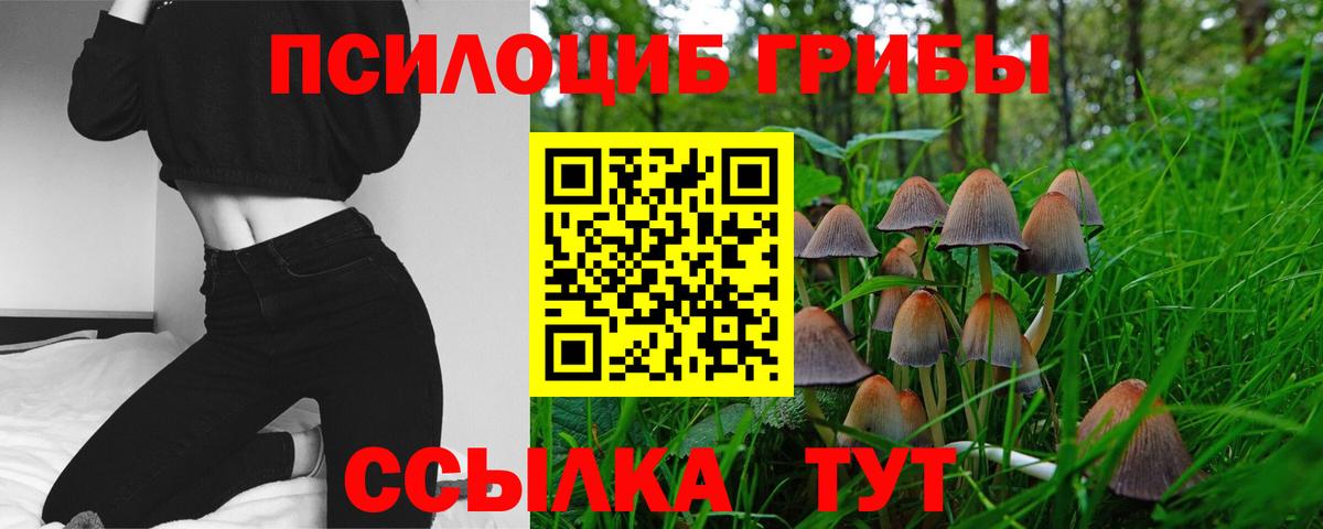купить  цена  Псилоцибиновые грибы Magic Shrooms  Новый Уренгой  Вход с VPN  Псилоцибиновые грибы Psilocybe 